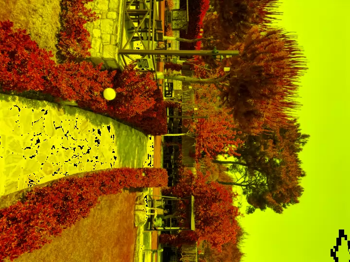 DJI_0731